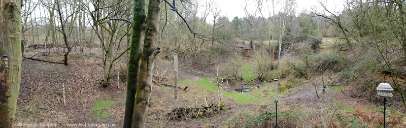 View from the Wildlife Observation Hide, Elveden Forest  Fraser Simpson 