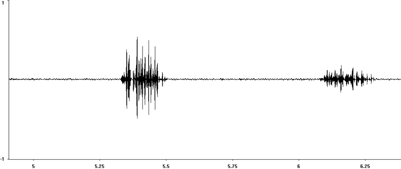 Oscillogram of Field Grasshopper stridulation [fieldgrasshopper115080e] 