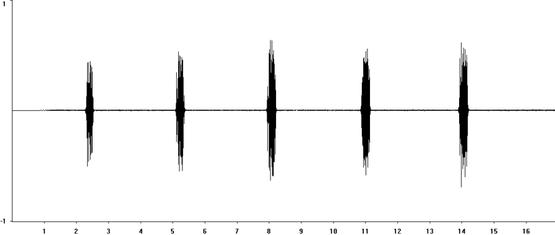 Oscillogram of Field Grasshopper stridulation [fieldgrasshopper117345capcut]