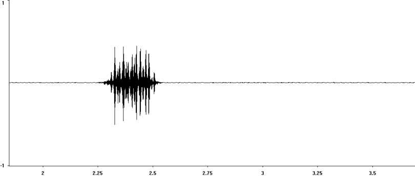Oscillogram of Field Grasshopper stridulation [fieldgrasshopper117345capcut]