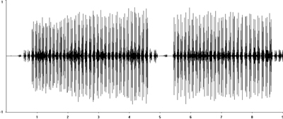 Oscillogram of Great Green Bush-cricket calling song