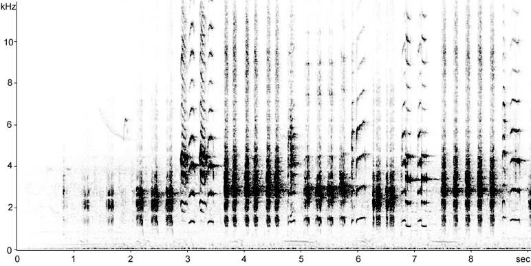 Sonogram of Great Reed Warbler song
