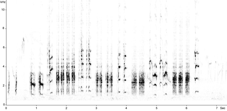 Sonogram of Great Reed Warbler song