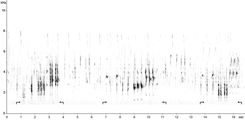 Sonogram of Great Reed Warbler song