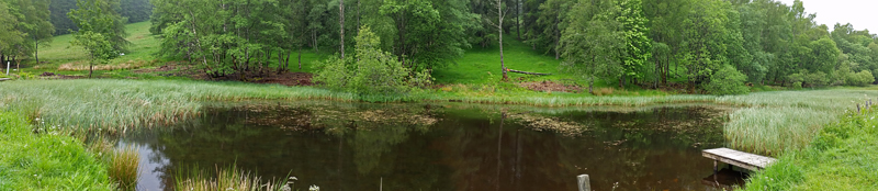 Curling Pond  Fraser Simpson 