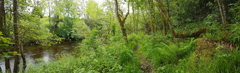 River Ardle and bankside trail  Fraser Simpson 