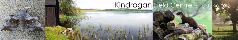 Kindrogan Trip Report 3-10 June 2016  Fraser Simpson 