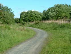 Knockentiber to Springside Disused Railway Line