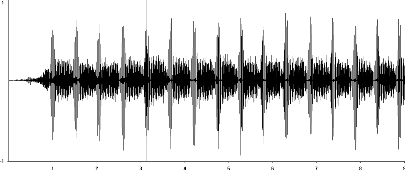 Oscillogram of Ladder Grasshopper stridulation