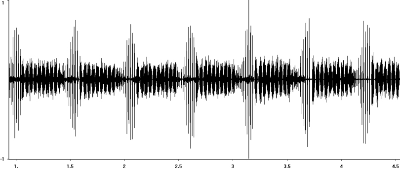 Oscillogram of Ladder Grasshopper stridulation