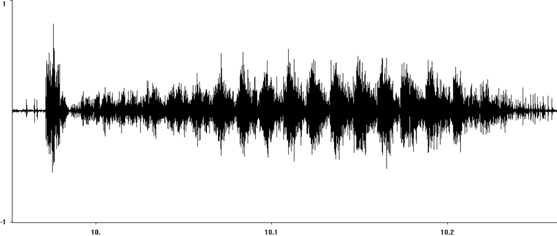 Oscillogram of Lesser Grasshopper stridulation