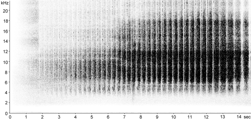Sonogram of Lesser Grasshopper stridulation