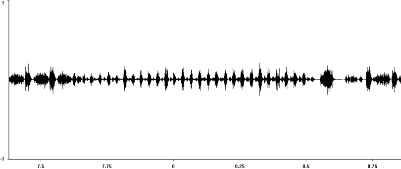 Sonogram of Lesser Marsh Grasshopper courtship stridulation [lessermarshgrasshopper117352capcut1]