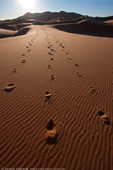 Footprints