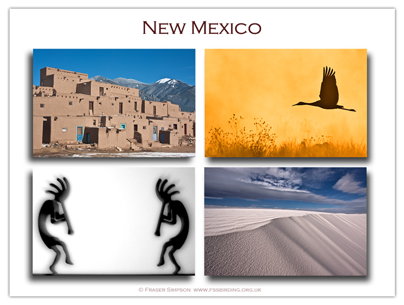 New Mexico photographs  Fraser Simpson