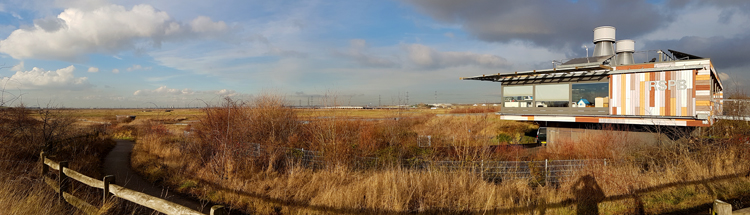 Rainham Marshes - February 2017   Fraser Simpson