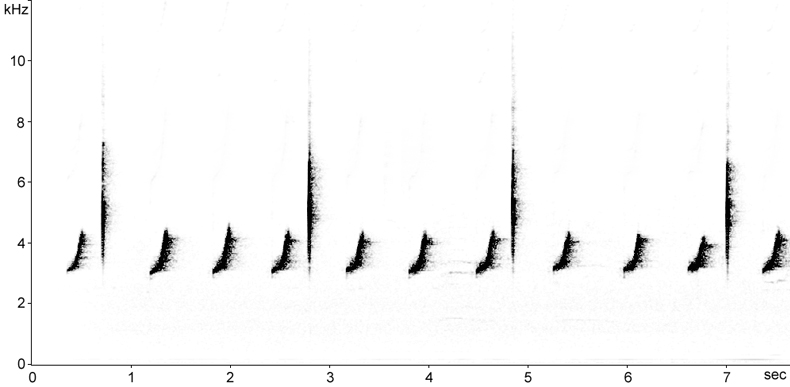 Sonogram of Redstart alarm calls