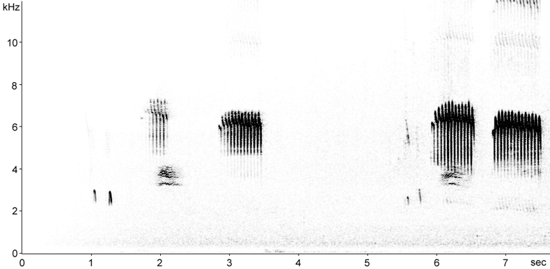 Sonogram of Bohemian Waxwing calls
