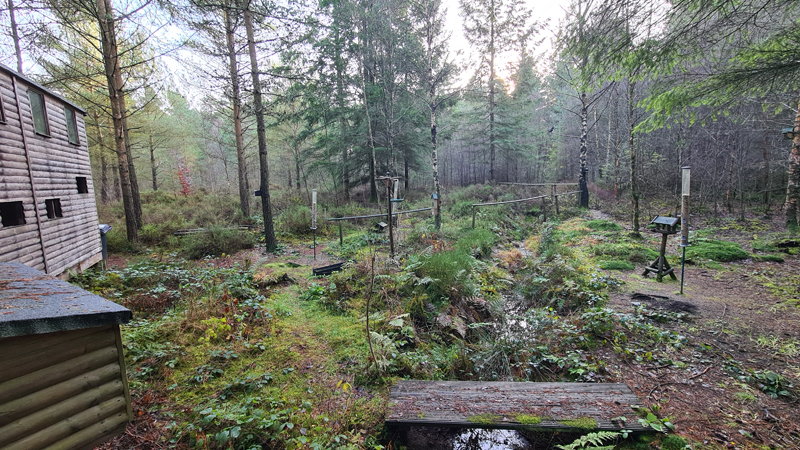 View from the Bird Hide, Center Parcs, Whinfell Forest, Cumbria  Fraser Simpson 